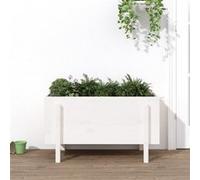 Lit surélevé de jardin 160x50x57 cm bois Douglas massif lit surélevé vidaXL