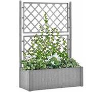 Cache-pots vidaXL Lit surélevé de jardin et treillis et système d'arrosage Gris