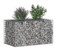 Vidaxl Lit Surélevé Gabion Argenté 100 X 60 X 55 Cm Acier Galvanisé