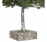 Vidaxl Lit Surélevé Gabion Argenté 60 X 60 X 20 Cm Acier Galvanisé