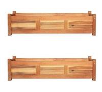 vidaXL Lits surélevés de jardin 2 pcs Bois d'acacia 100x30x25 cm Marron G