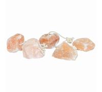 vidaXL Pierres à lécher 100 pcs avec cordes pour le bétail 12,5 kg Rose