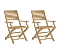 Vidaxl Chaises Pliables De Jardin 2 Pcs Bois Massif D'acacia