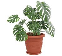 vidaXL Lot de 6 pots de fleurs cylindriques en plastique pour balcon, modernes, durables, légers, 26 x 21,5 cm, rouge brique