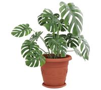 vidaXL Lot de 6 pots de fleurs cylindriques en plastique pour balcon, modernes, durables, légers, 26 x 21,5 cm, rouge brique