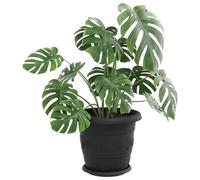 vidaXL Lot de 6 pots de fleurs cylindriques en plastique pour balcon, modernes, durables, légers, noirs, Ø 30 x 25 cm
