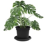 vidaXL Lot de 6 pots de fleurs noirs Ø 12,5 x 10 cm en plastique, pour balcon, cylindres décoratifs, résistants, légers, modernes, idéaux pour le jardin et l'intérieur