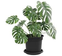 vidaXL Lot de 6 pots de fleurs noirs Ø 15 x 12 cm en plastique, pour balcon, cylindres décoratifs, résistants, légers, modernes, parfaits pour jardin et intérieur