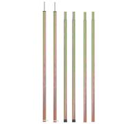 Vidaxl Mâts De Tente Télescopiques 170-255 Cm 2 Pcs Acier Galvanisé