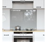 vidaXL Meuble de cuisine Gris clair 80x60x0,6 cm en verre trempé