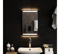 vidaXL Miroir de salle de bain à LED 30x50 cm