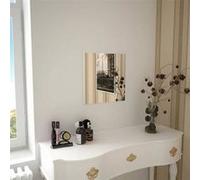 vidaXL Miroir Mural Carré Verre Décoration Mur Maison Salle de Séjour Salon