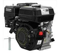 vidaXL Moteur à essence 141246 6,5 CH 4,8 kW 196 cc Noir