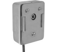 Moteur de broche à rôtir 4W Acier inoxydable