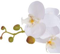 vidaXL Orchidée artificielle avec pot 75 cm blanc