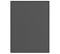 vidaXL Paillasson Anthracite 80 x 120 cm