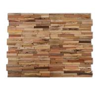 Panneaux de revêtement mural - vidaXL - Bois de teck recyclé - 10 pcs - 1,03m² - Intérieur