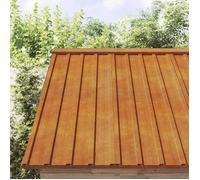 vidaXL Panneaux de Toiture 36 pcs, Toits d'Abris, Tôles Profilées, Panneaux de Toit d'Abris de Jardin Grange Hangar 151971