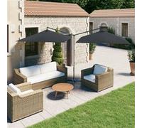 Parasol double avec mât en acier Anthracite 600x300 cm