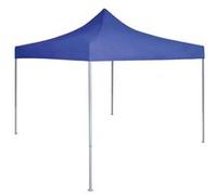vidaXL Partytent professioneel inklapbaar 2x2 m staal blauw48877 Bleu G
