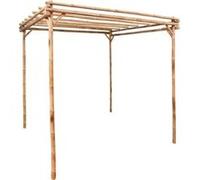 vidaXL Pergola Bambou 170x170x220 cm Vert G