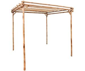 vidaXL Pergola Support pour Plantes Grimpantes Rosiers Patio Extérieur Arrière-Cour Robuste Durable Résistant Bambou 170x170x220 cm