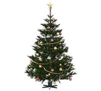 vidaXL Pied de Sapin de Noël 1.73 Vert 49 x 49 x 15,5 cm Acier, Support de Sapin de Noël élégant en Forme d'étoile, Design Moderne et Durable, Soutien fiable pour Le Salon et l'extérieur