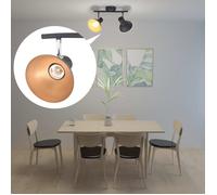 vidaXL Plafonnier 2 Ampoules E27 Noir Doré Lampe de Plafond Eclairage Lustre 244409