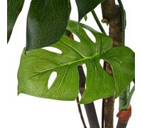 vidaXL Plante artificielle avec pot Monstera 170 cm Vert