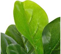 vidaXL Plante artificielle figue de Barbarie avec pot vert 90 cm