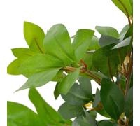 vidaXL Plante artificielle laurier avec pot vert 120 cm