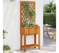 vidaXL Jardinière avec treillis et étagère Bois massif d'acacia 55x29,5x152 cm
