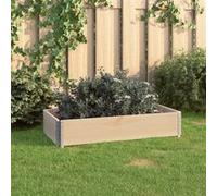 vidaXL Plantenbak verhoogd 50x100 cm massief grenenhout3055164 G