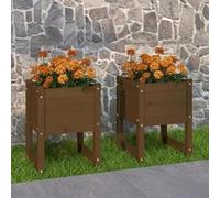 vidaXL Plantenbakken 2 st 40x40x52,5 cm massief grenenhout honingbruin822114 Marron G
