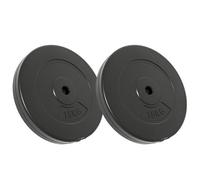 Vidaxl Plaques De Poids 2 Pcs 30 Kg Béton