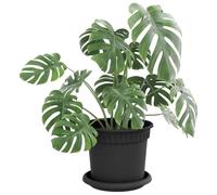 vidaXL Plateau à Fleurs Rond 24 pcs Noir Ø 14 x 2 cm Plastique, Plateau Circulaire Moderne, Accessoire léger pour Le Jardin, déco Plante, intérieur extérieur, Balcon Trendy