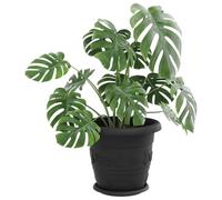 vidaXL Plateau à Fleurs Rond 24 pcs Noir Ø 14 x 2 cm Plastique, Plateau Circulaire Moderne, Accessoire léger pour Le Jardin, déco Plante, intérieur extérieur, Balcon Trendy