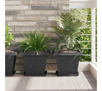 Vidaxl Plateau Carré À Fleurs 24 Pcs Noir 25,5 X 25,5 X 2,5 Cm