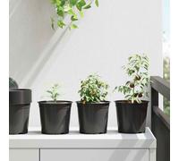 vidaXL Pot à fleurs 200 pcs Noir Ø 15 x 12,5 cm Plastique