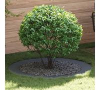 vidaXL adapté pour Anneaux d'arbre Plats 5 pcs Anthracite Ø90 / 120 cm, Décor Moderne pour Jardin et terrasse, Protecteur d'arbre Durable, Accessoire de Jardin, Garde-Racines