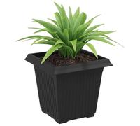 vidaXL Pot de Fleurs Carré 24 pcs Noir 16 x 16 x 14 cm Plastique, Balcon, Carré, Moderne, Durable, Léger, Solutions idéales pour Votre Espace extérieur, Options Personnalisables et polyvalentes