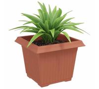 vidaXL Pot de Fleurs Carré 24 pcs Rouge Brique 23 x 23 x 17,5 cm, Balcon, Carré, Moderne, Durable, Léger, Solutions idéales pour Votre Espace extérieur, Options Personnalisables et polyvalentes