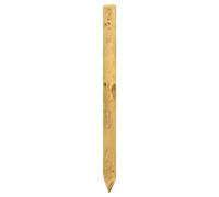 vidaXL Poteaux de clôture 10 pièces Vert 120 cm Bois de pin Massif