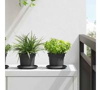 vidaXL Pots de plantes 24 pcs Noir Ø 12,5 x 10 cm Plastique