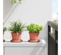 vidaXL Pots de plantes 24 pcs Rouge brique Ø 12,5 x 10 cm Plastique