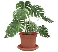 vidaXL Pots de Plantes 24 pcs Rouge Brique Ø 12,5 x 10 cm Plastique, Pots de Balcon, Porte-Plantes cylindriques, légers, Modernes, pour décorer Jardin et intérieur, Jolis contenants à Fleurs