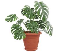 vidaXL Pots de Plantes 24 pcs Rouge Brique Ø 26 x 21.5 cm Plastique, Design de Balcon, Forme cylindrique, Style Moderne, matériaux durables, Structure légère pour Les espaces de Vie urbains