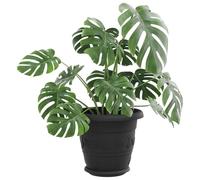 vidaXL Pots de Plantes 6 pcs Noir Ø 26 x 21.5 cm Plastique, Design de Balcon, Forme cylindrique, Style Moderne, matériaux durables, Structure légère pour Les espaces de Vie urbains