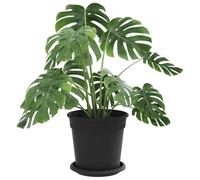 vidaXL Pots de Plantes 6 pcs Noir Ø 17 x 14 cm Plastique, Pots de Balcon, Porte-Plantes cylindriques, légers, Modernes, pour décorer Jardin et intérieur, Jolis contenants à Fleurs