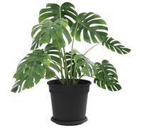 vidaXL Pots de Plantes 6 pcs Noir Ø 19 x 16 cm Plastique, Pots de Balcon, Porte-Plantes cylindriques, légers, Modernes, pour décorer Jardin et intérieur, Jolis contenants à Fleurs